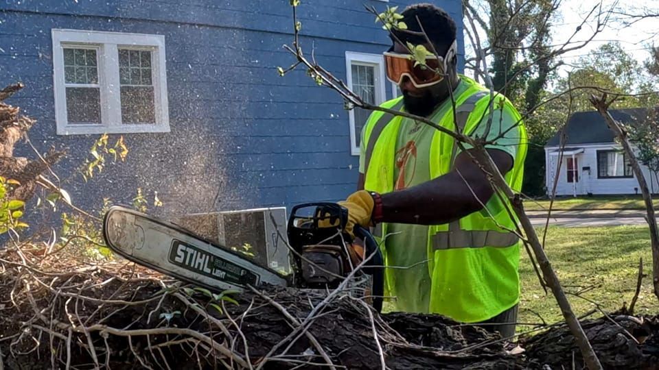 AJ's Tree Removal