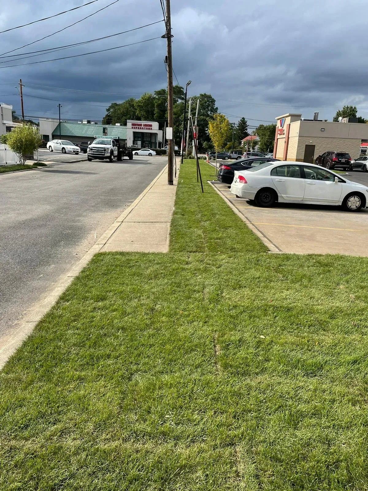 Grassy roadside verge beside a parking lot with white cars and a street under cloudy skies.