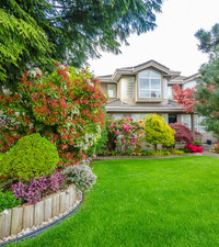 Beautiful lawn