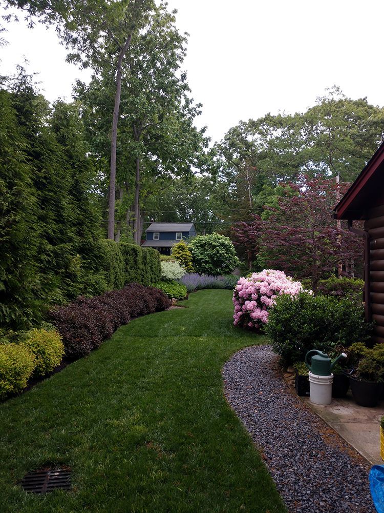 A lush green yard with a path leading to a house
