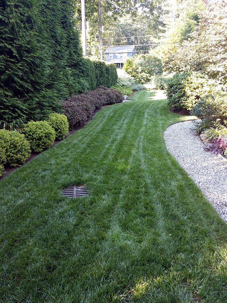 A lush green lawn with a gravel path leading to a house.