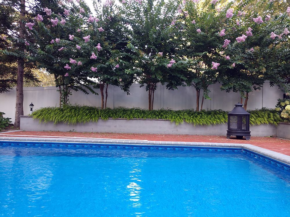 A large swimming pool surrounded by trees and flowers