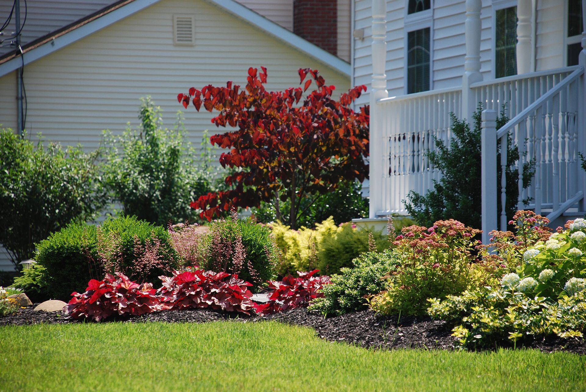 A lush green yard with a white house in the background