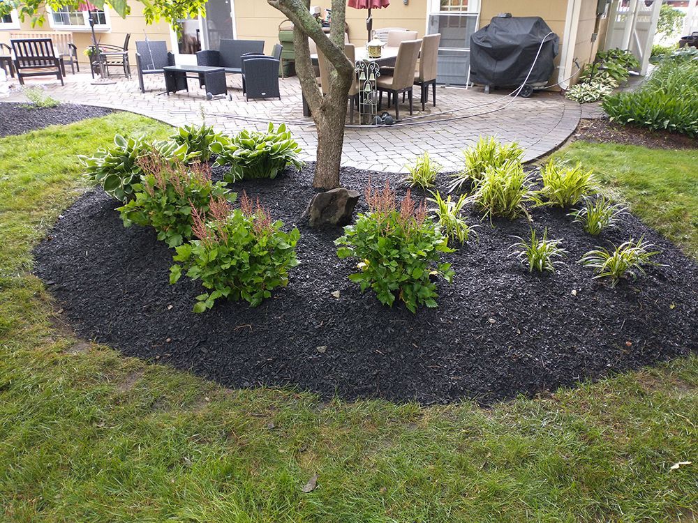 A lush green lawn with a tree in the middle and a patio in the background.