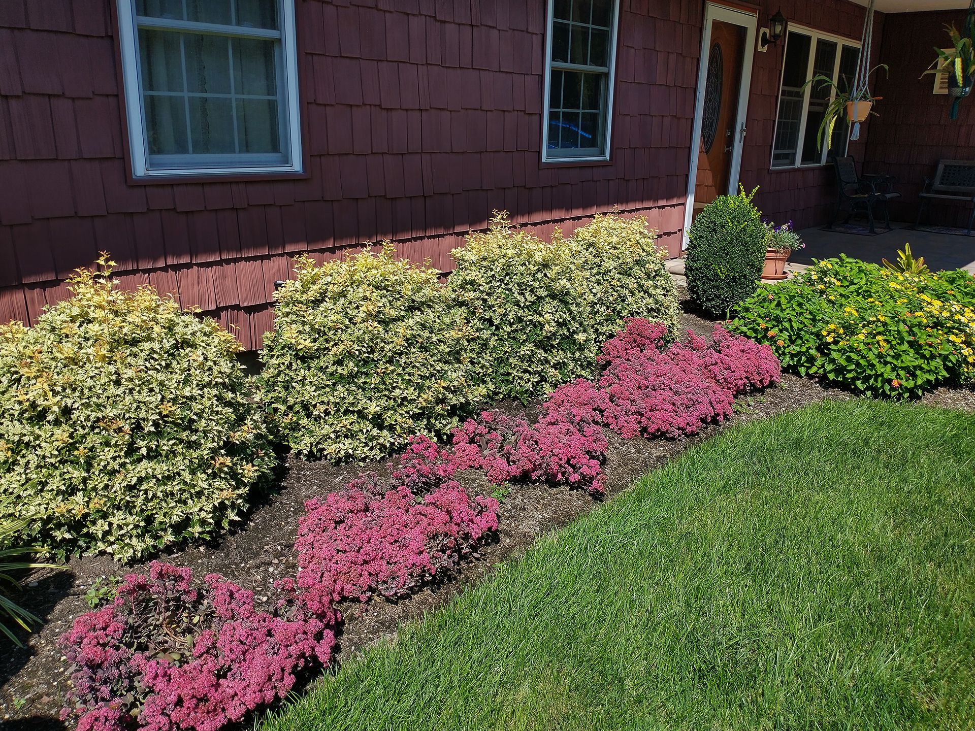 Bushes in front of a house