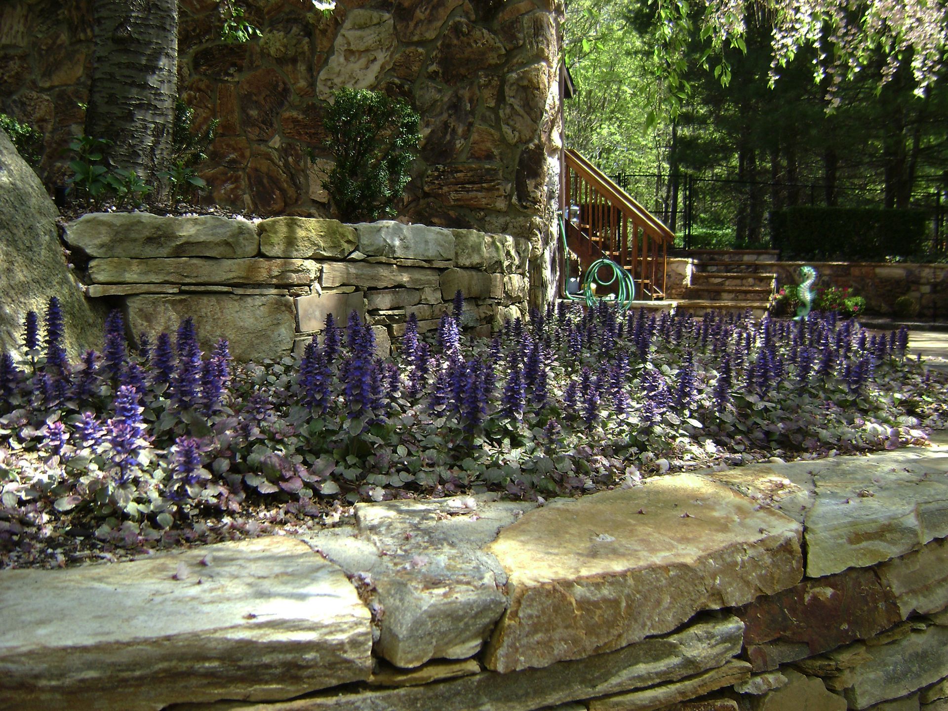 A stone wall with purple flowers growing on it