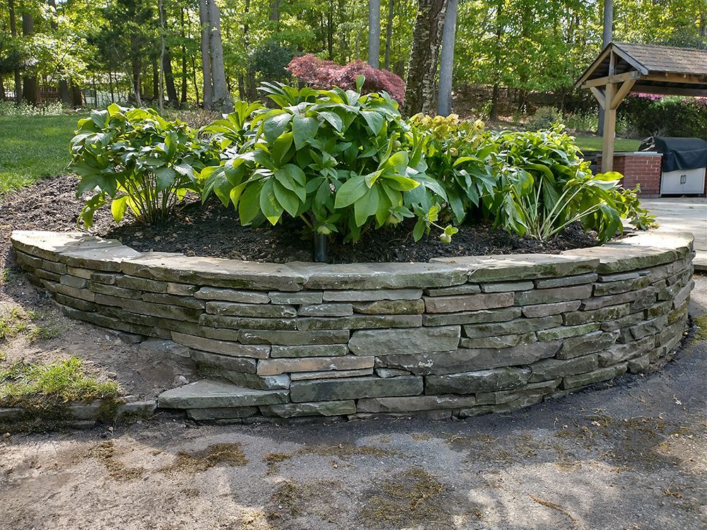 A stone wall with plants growing on it in a garden.