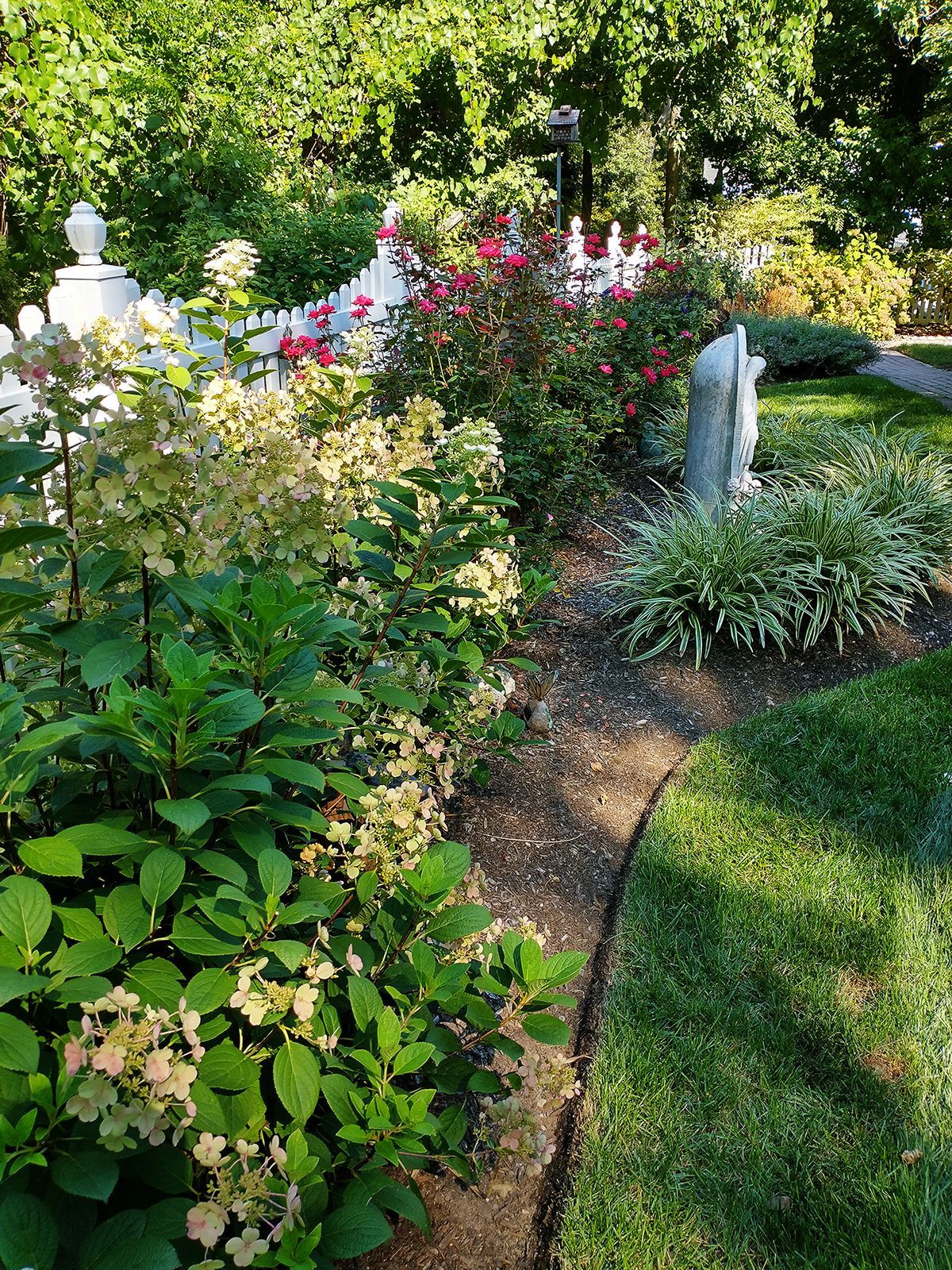 Garden with a variety of plants
