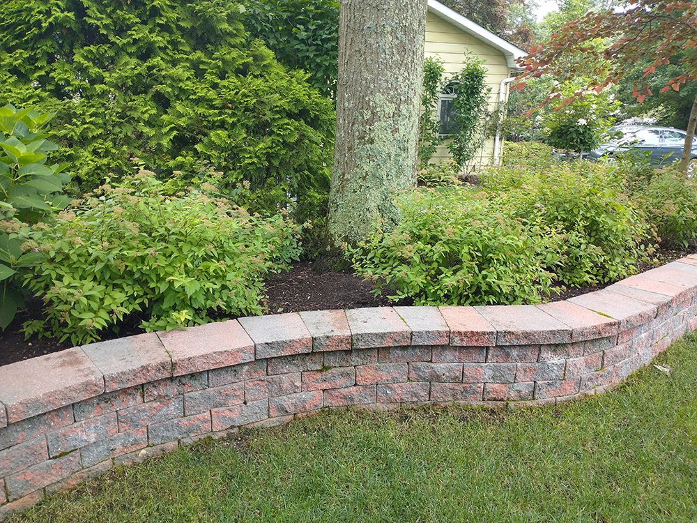 A brick wall in a garden with a tree in the background.