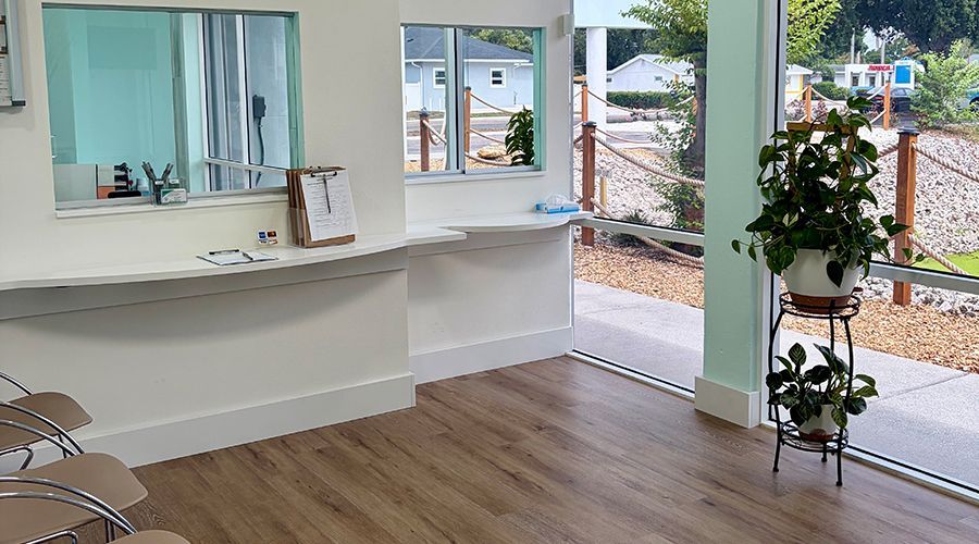 Bright empty reception room with white counters, wood floor, and glass entry doors near potted plants