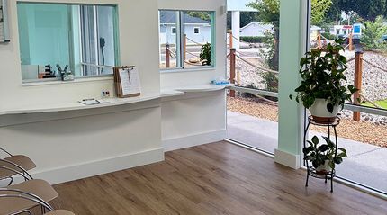 Bright empty reception room with white counters, wood floor, and glass entry doors near potted plants