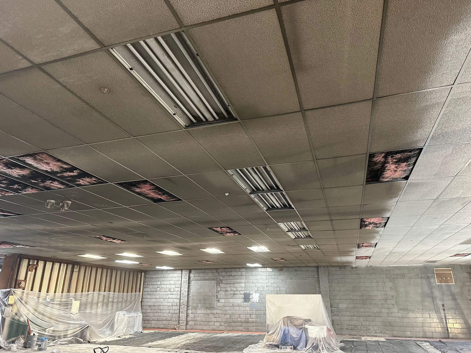 Interior view of a construction site. Damaged ceiling tiles, insulation exposed, and unfinished walls.