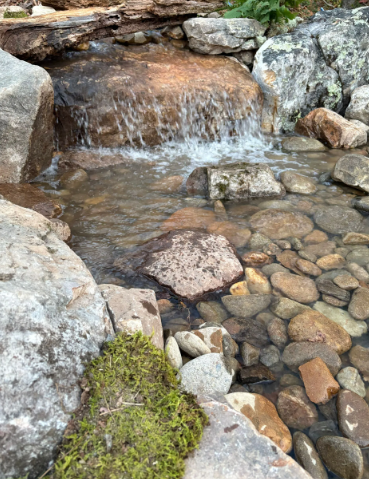 A small waterfall cascades into a clear stream, surrounded by rocks and moss.