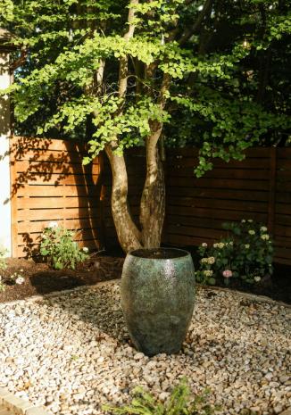 A tree with a mottled, green water fountain in a gravel bed, set against a wooden fence.