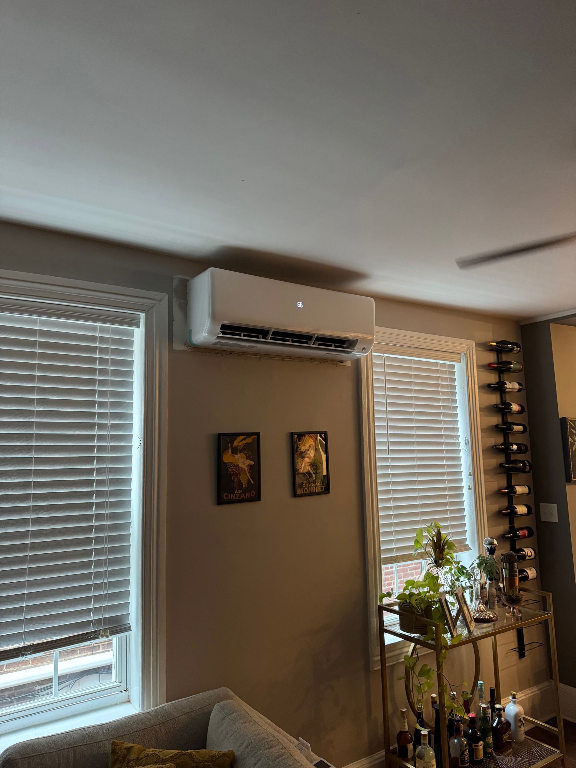 Living room with a wall-mounted air conditioner, windows with blinds, and a tall plant by the wall.
