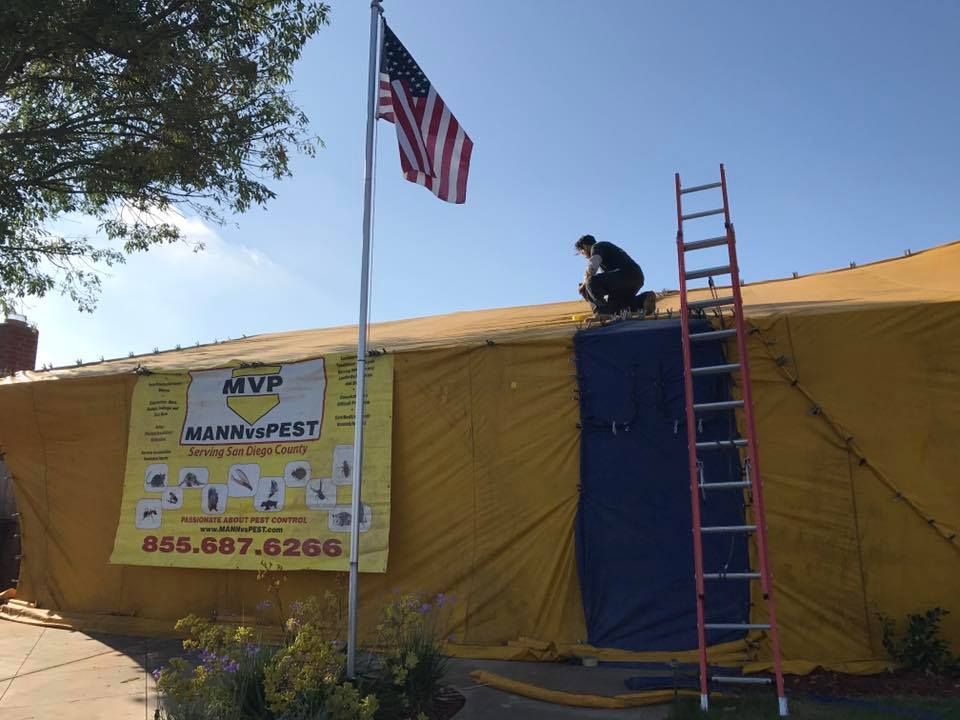 A worker on a ladder performs pest control services on a building tented in yellow plastic, with an American flag nearby.