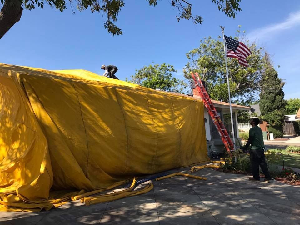 Workers in yellow hazmat-style tents enclose a house for termite fumigation under a clear sky.