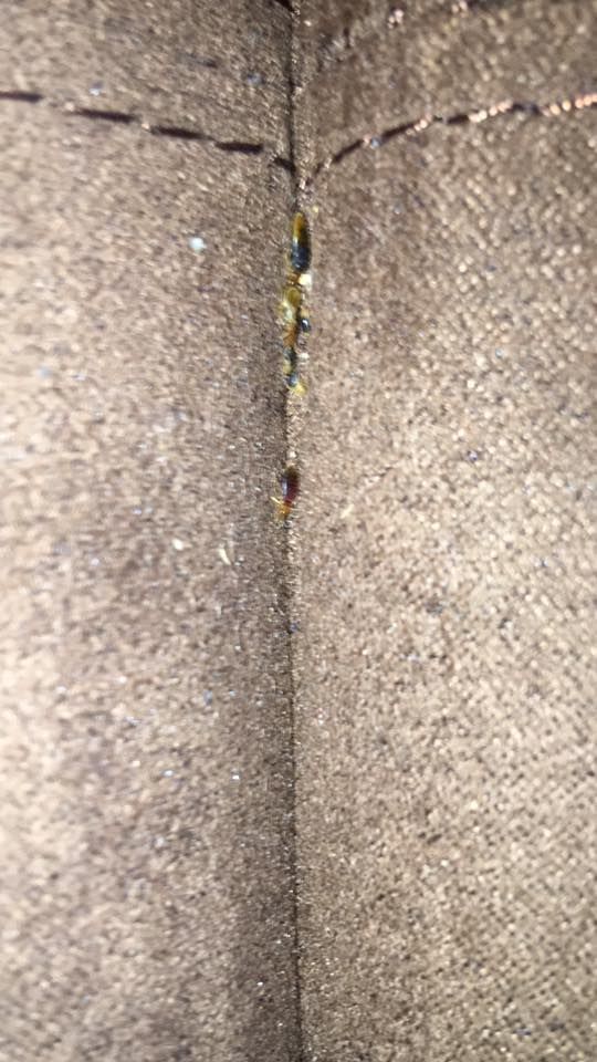 Close-up of a corner seam in dark fabric, showing small, dark stains and residue along the crevice.