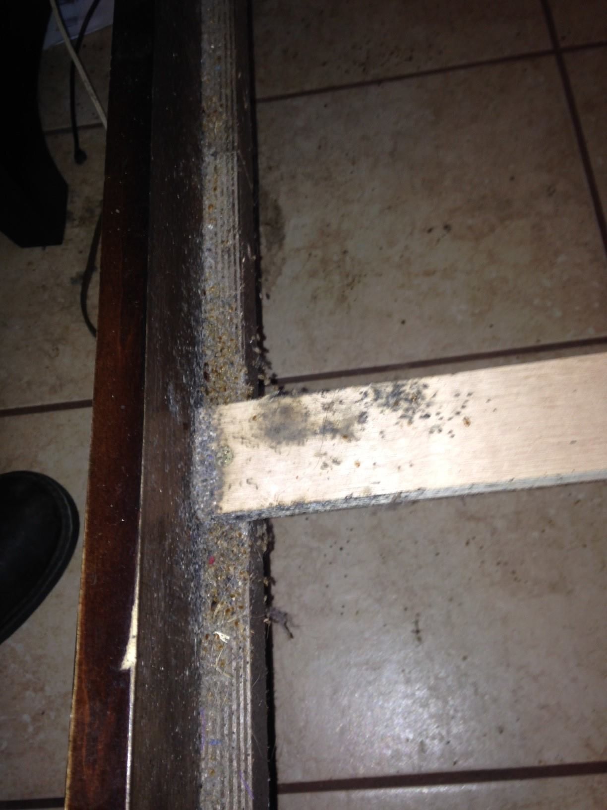 A wooden bed frame rail with a support slat attached, covered in significant dust and debris.