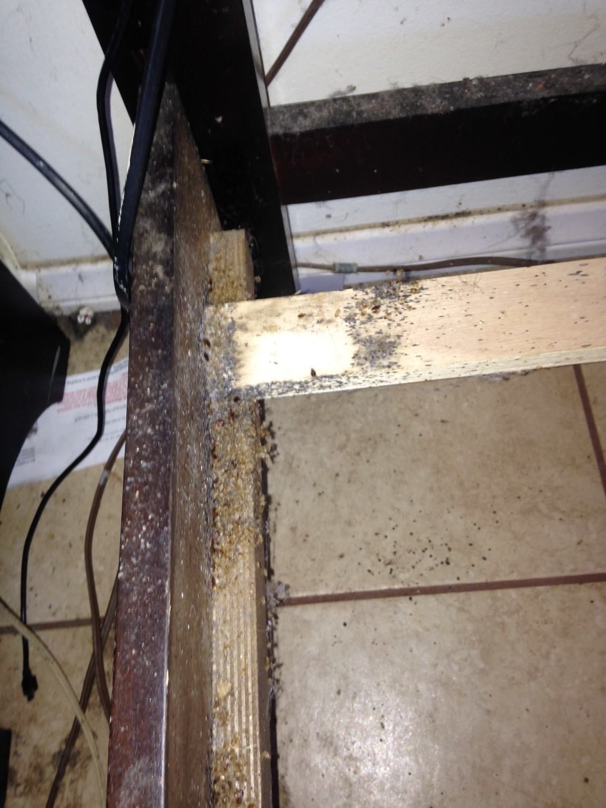 A close-up view of a dusty wooden furniture frame with debris and signs of insect activity on the wood joints.