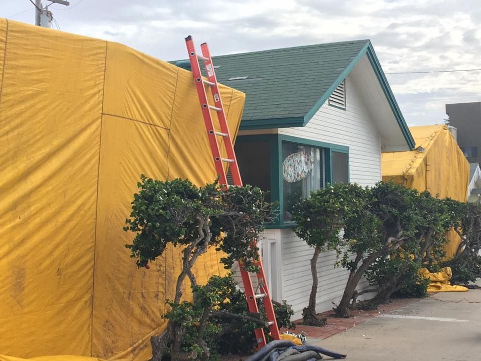 A white house with a green roof is partially covered by a large yellow tent for termite fumigation, with a ladder nearby.