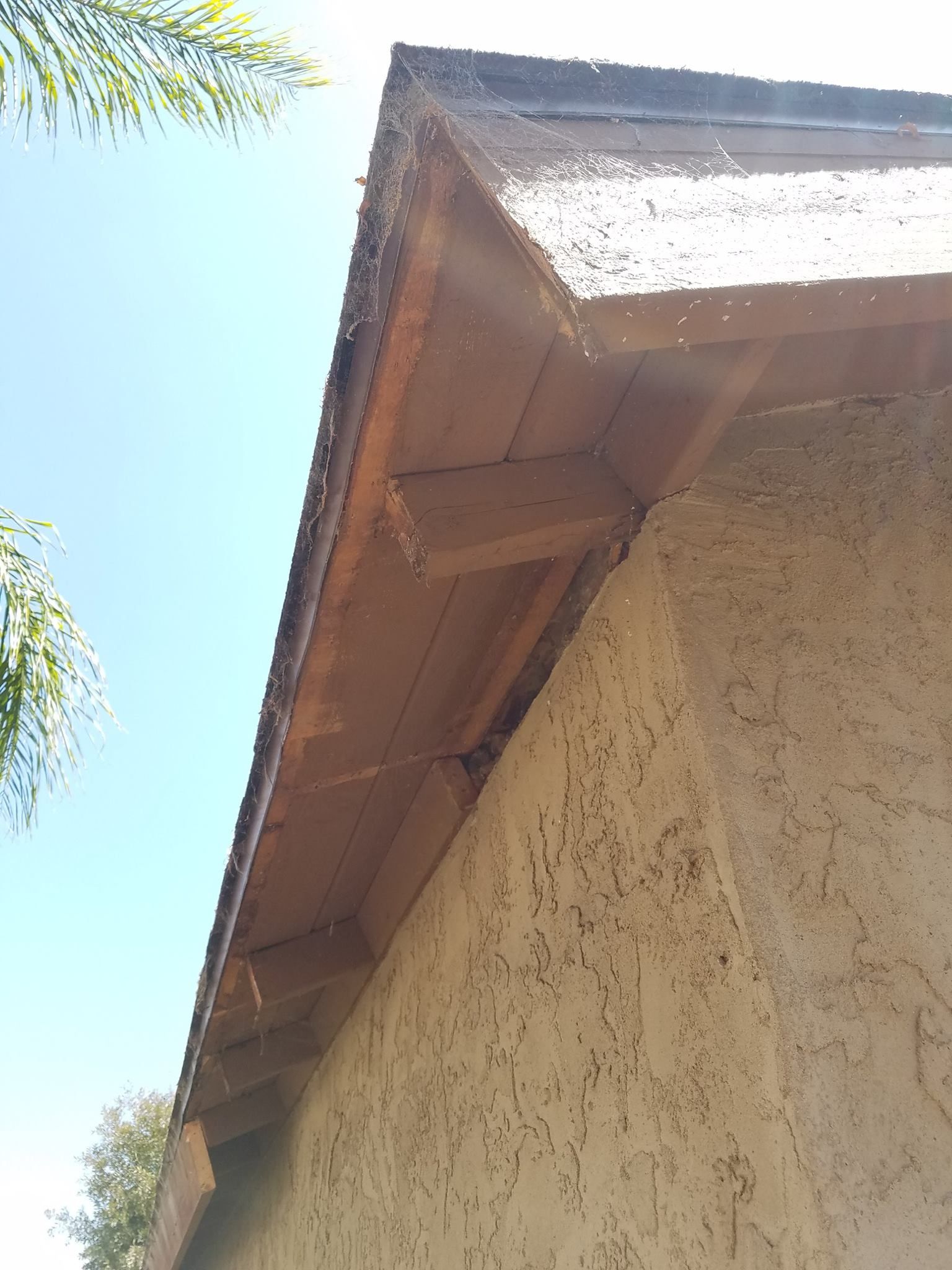 Low-angle view of a brown wooden roof overhang extending from a textured, beige stucco wall against a blue sky.