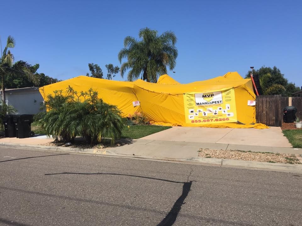 A residential home completely covered in a yellow tent for termite fumigation.