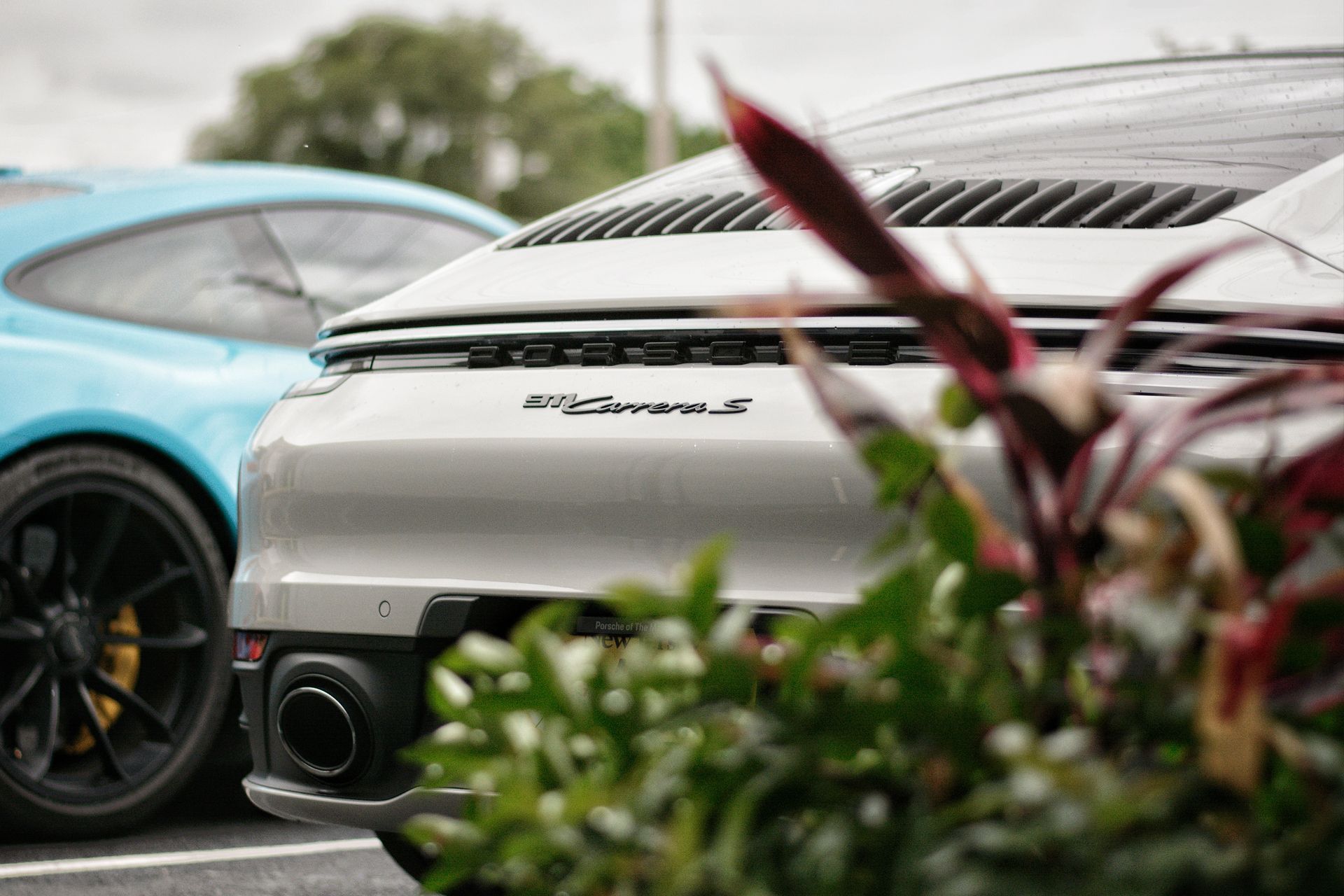 Rear view of a silver Porsche 911 Carrera S, with a blue car in the background, partially obscured by plants.