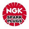 NGK Spark Plugs