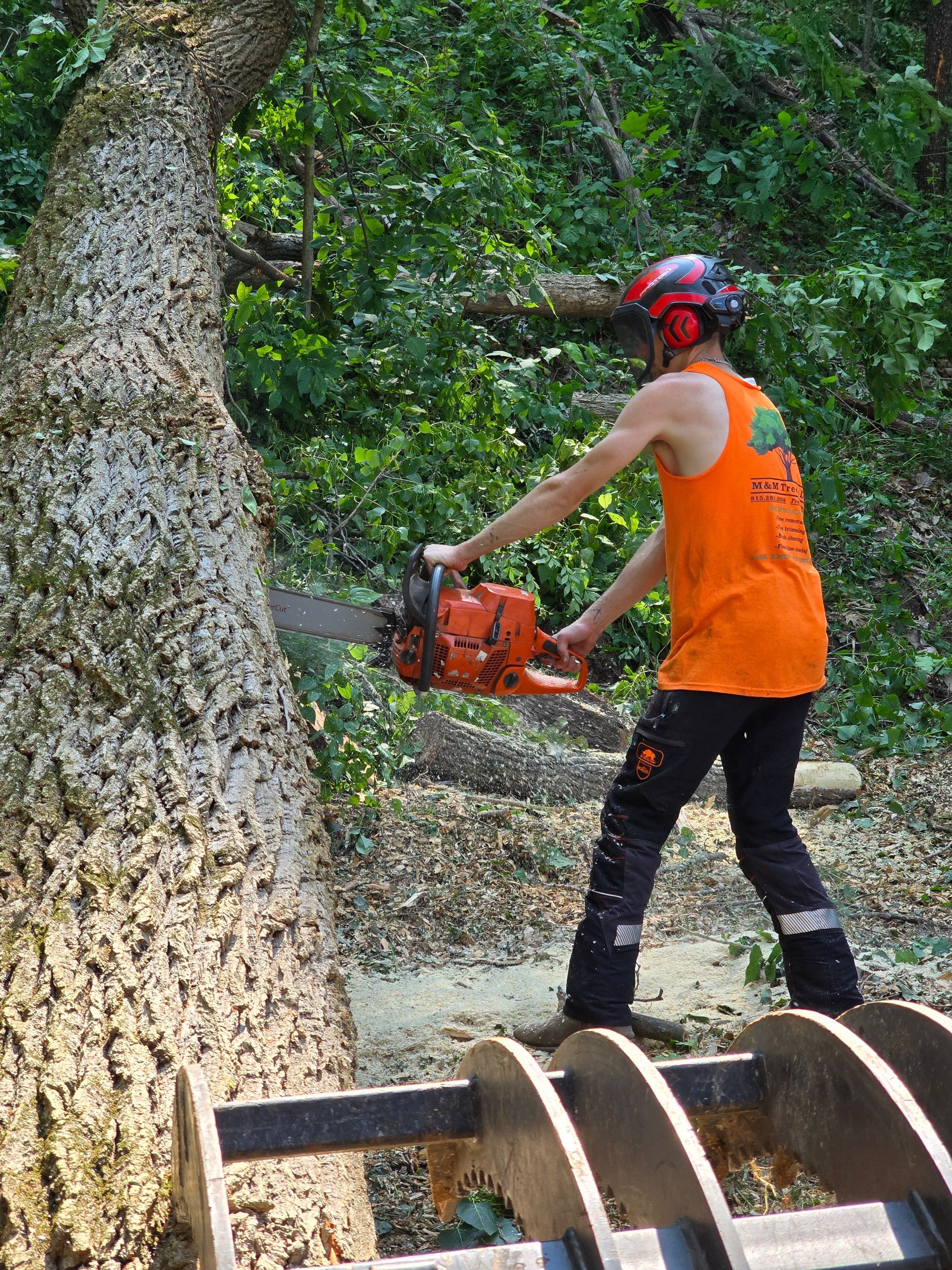Tree Service | Elizabeth, IL | M&M Tree's