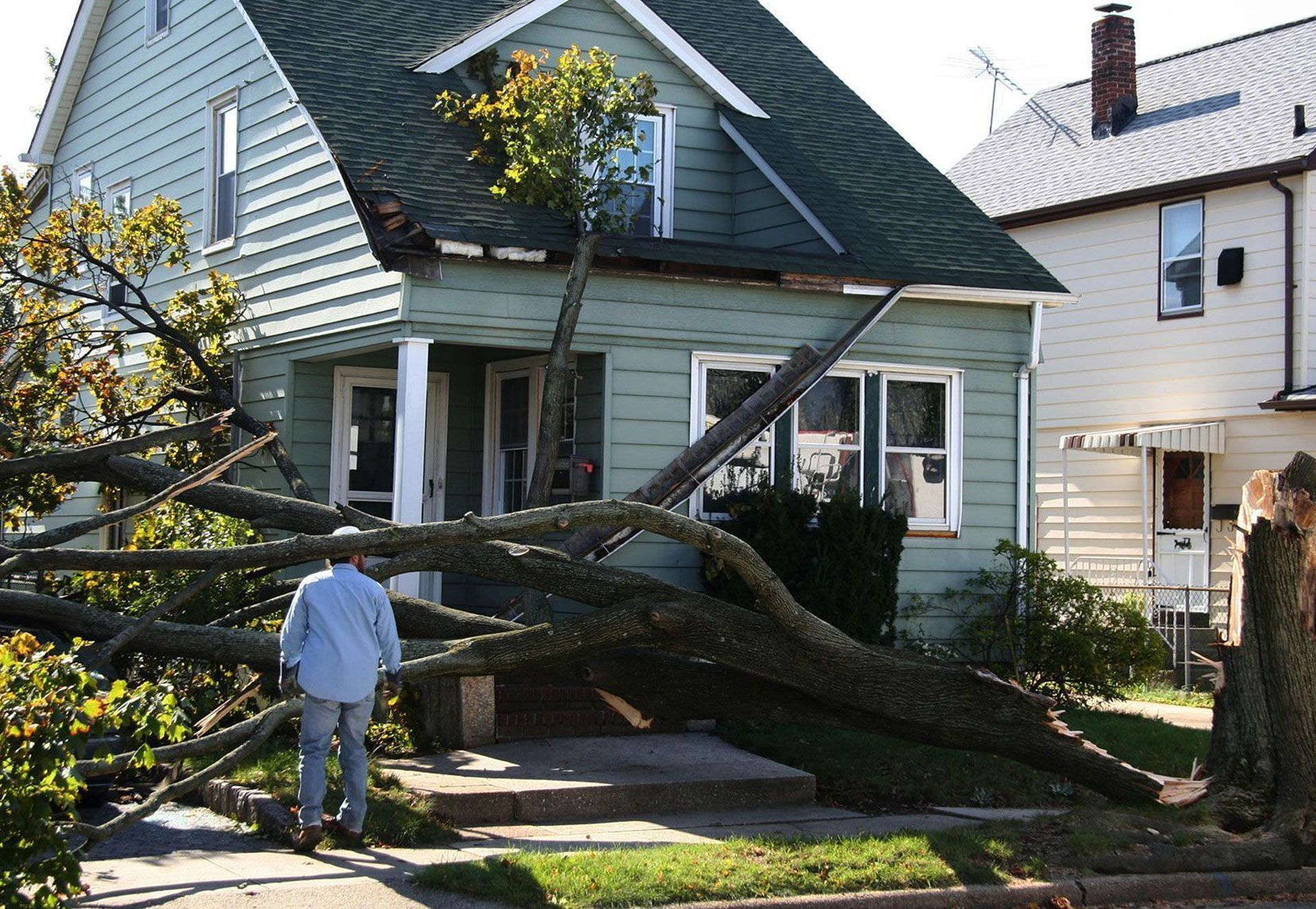 A house with a fallen tree in front of it