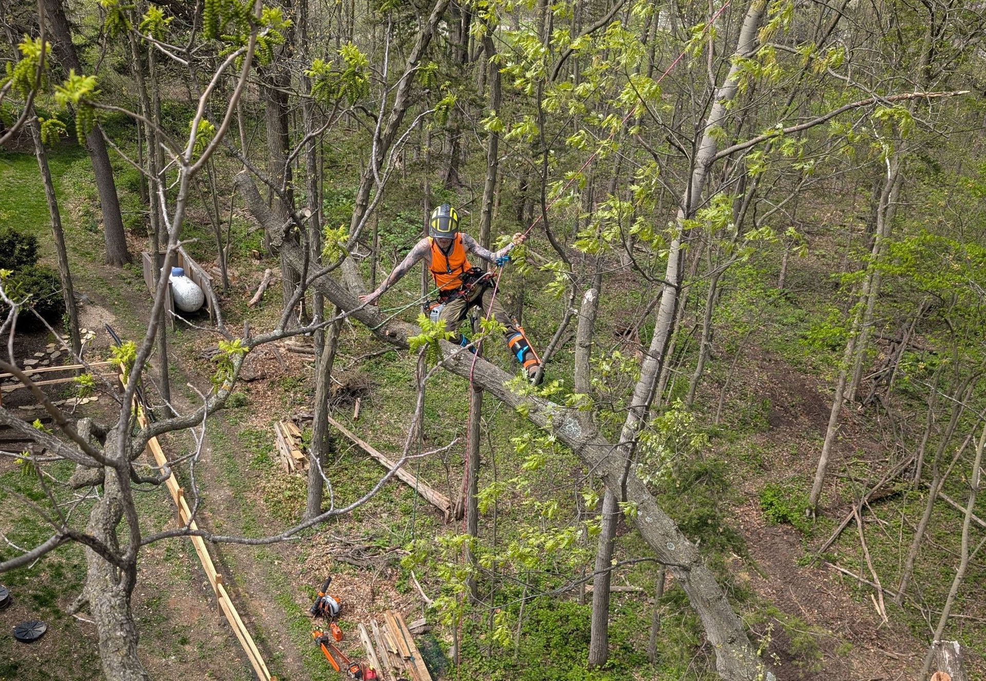 A man is sitting on a tree branch in the woods.