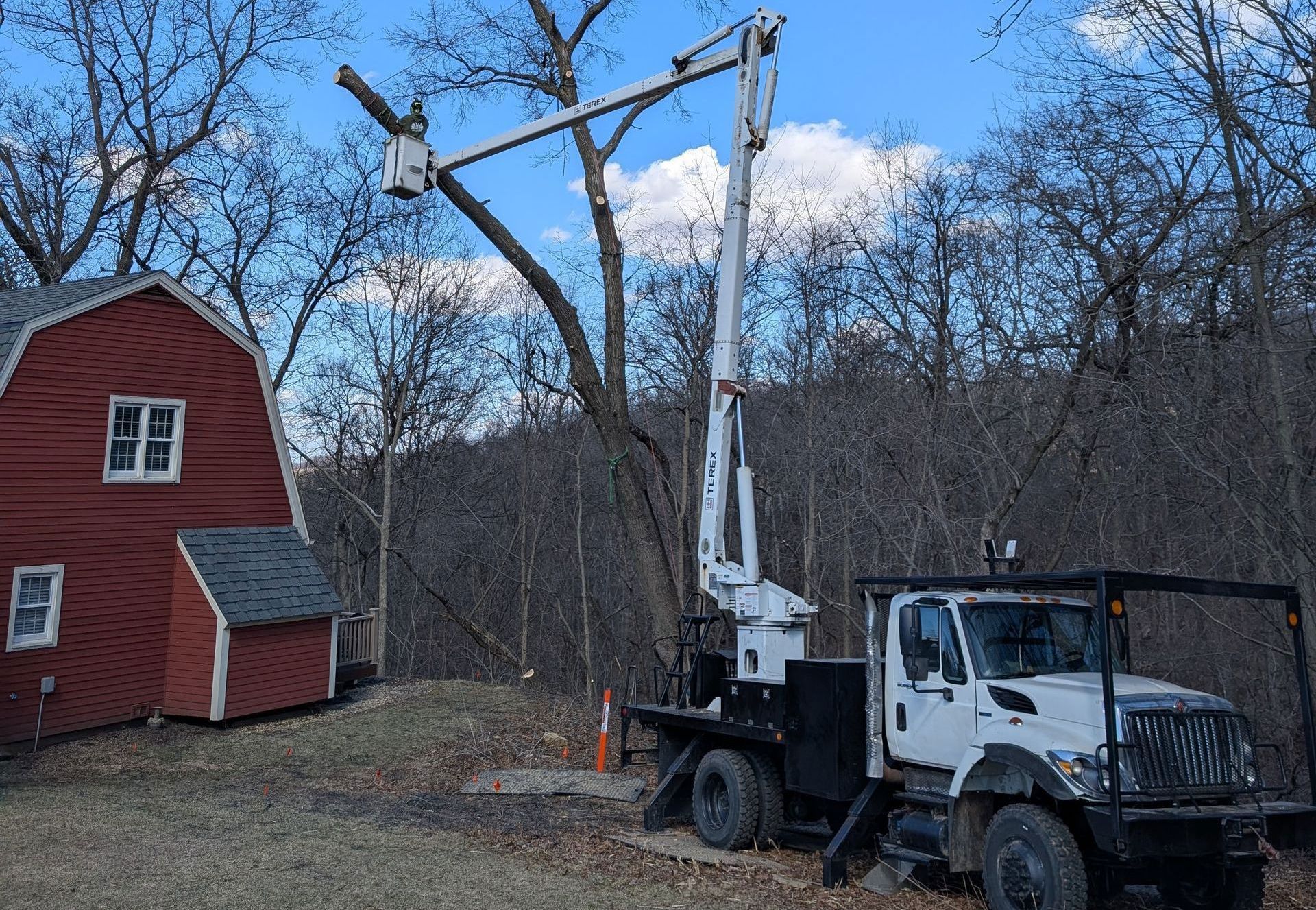 A white truck is cutting a tree in front of a red barn.