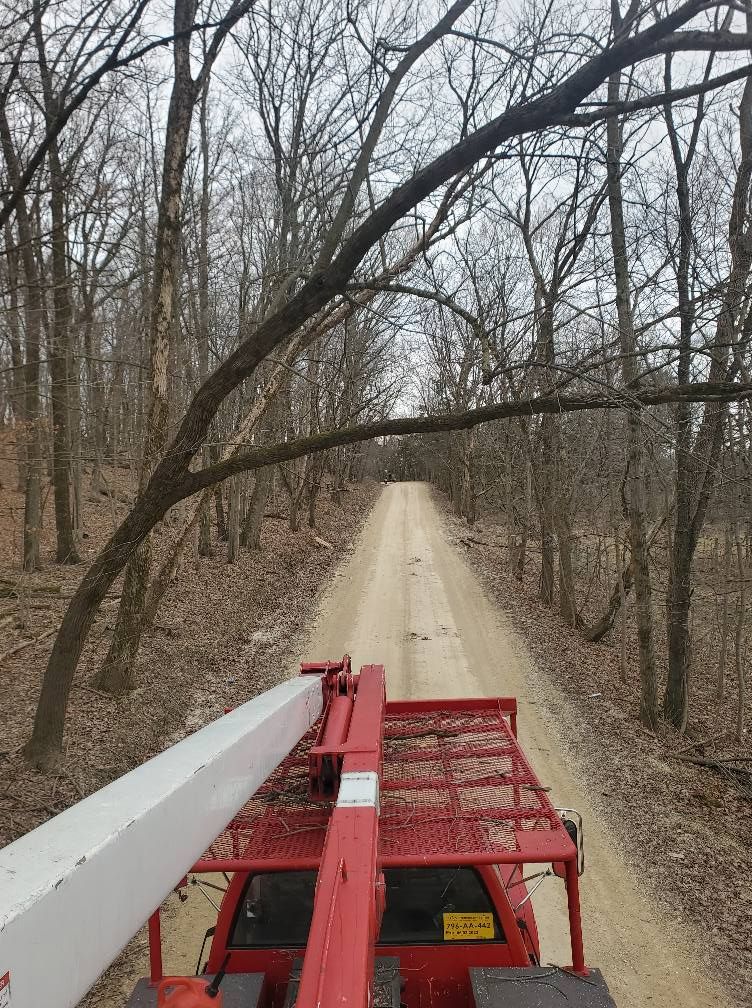 A red truck is driving down a dirt road in the woods.