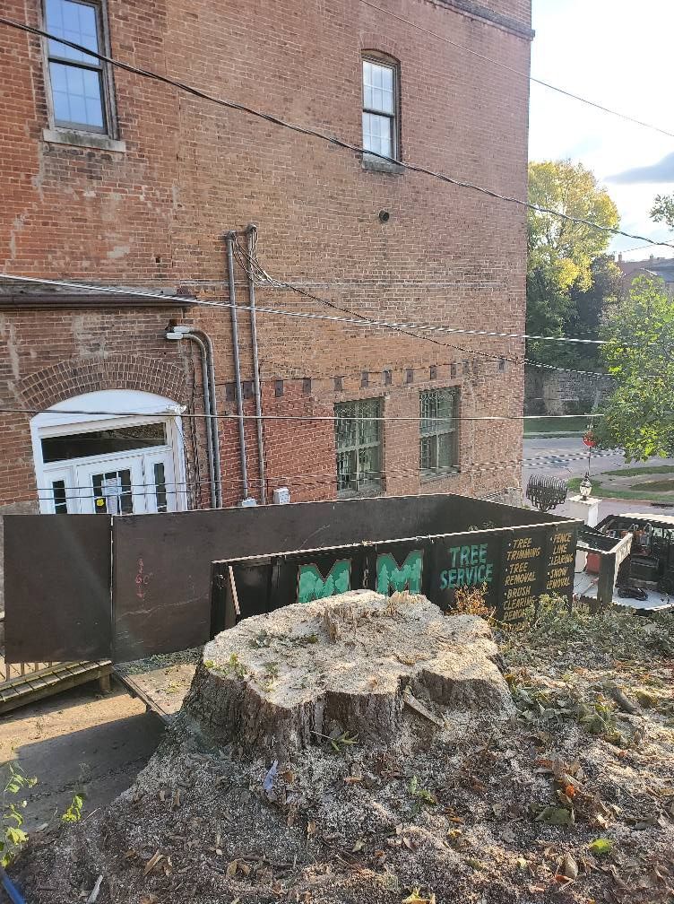 A large tree stump is sitting in front of a brick building.