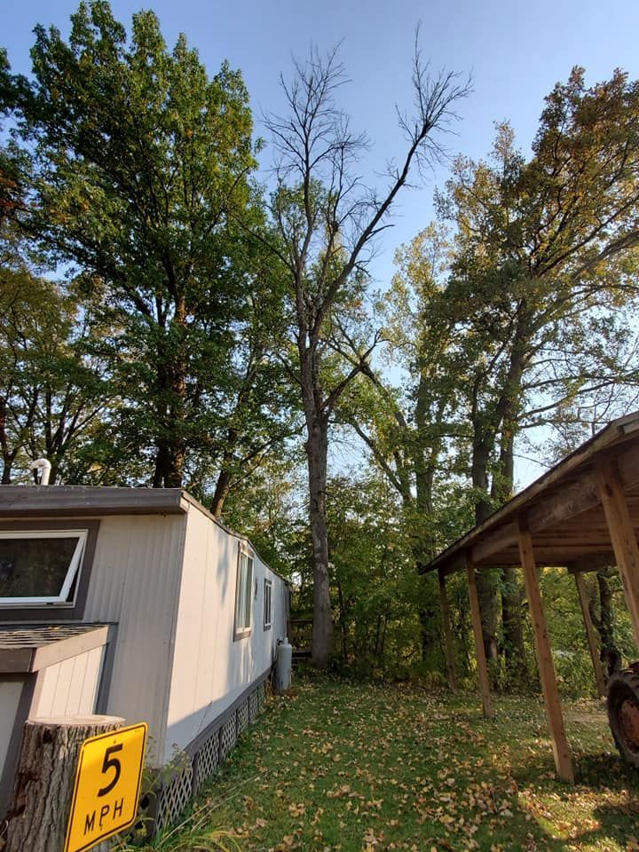 A yellow sign that says 5 mph is in front of a mobile home.
