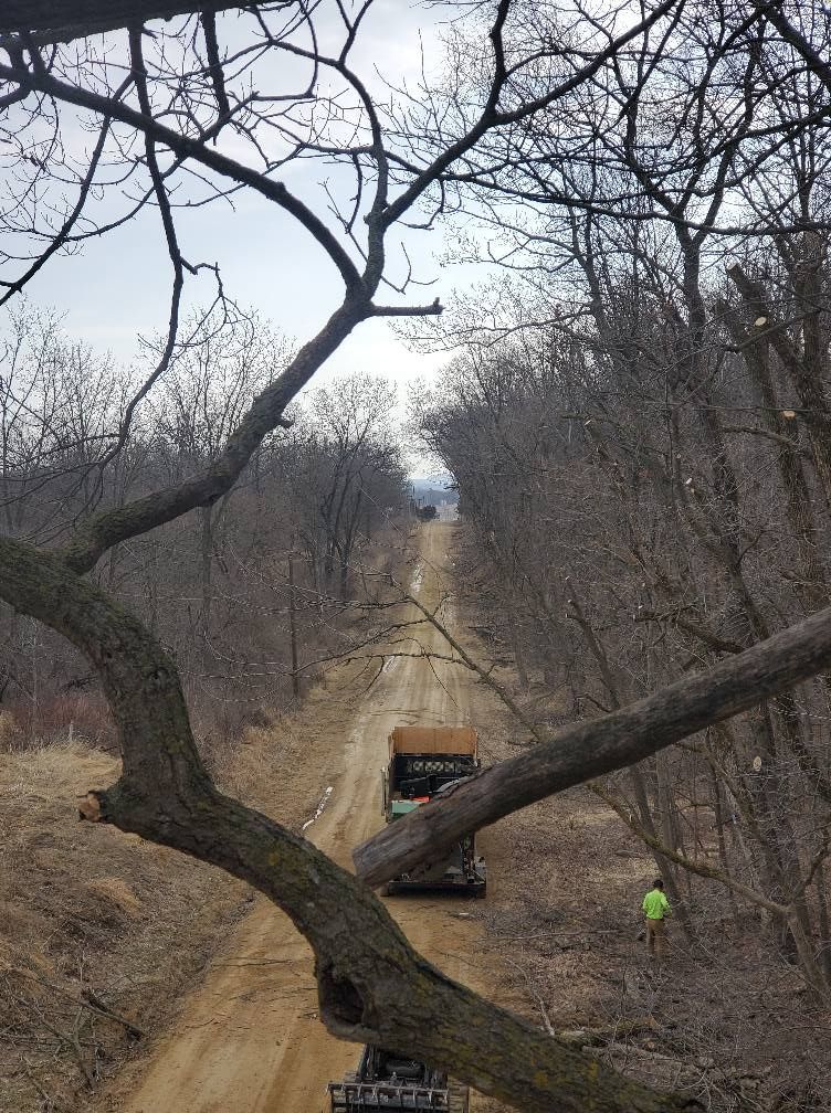 A truck is driving down a dirt road in the woods.