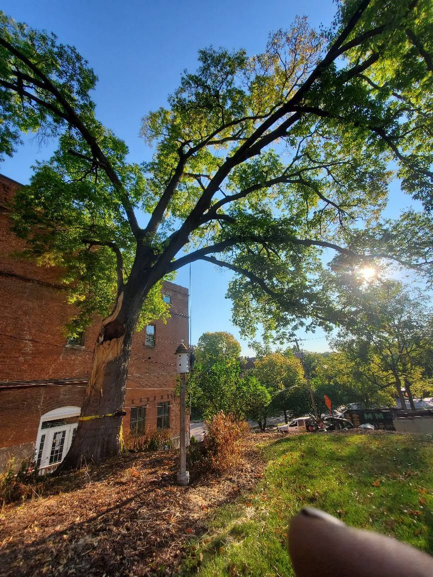 The sun is shining through the trees in front of a brick building