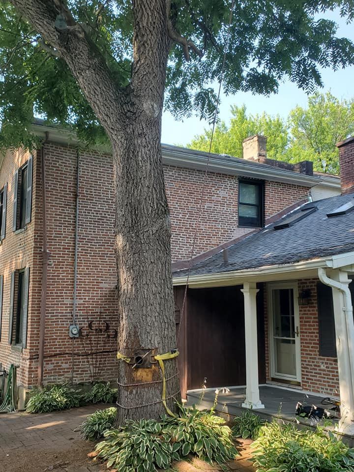 A brick house with a large tree in front of it.