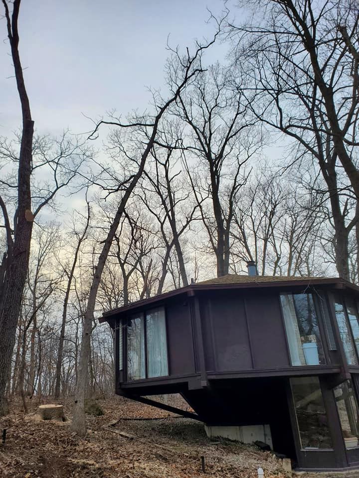A round house in the middle of a forest surrounded by trees.