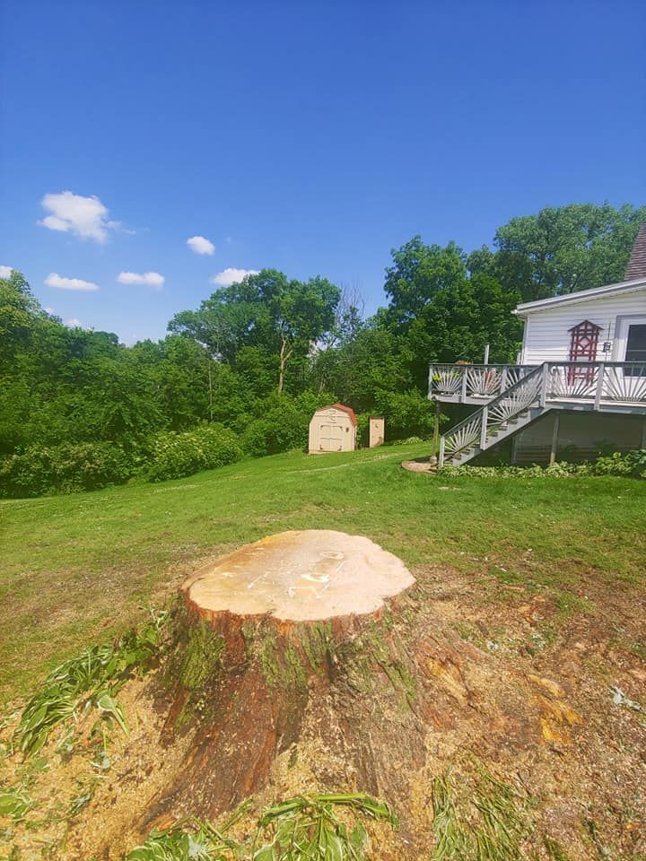 A large tree stump in the middle of a grassy field in front of a house.
