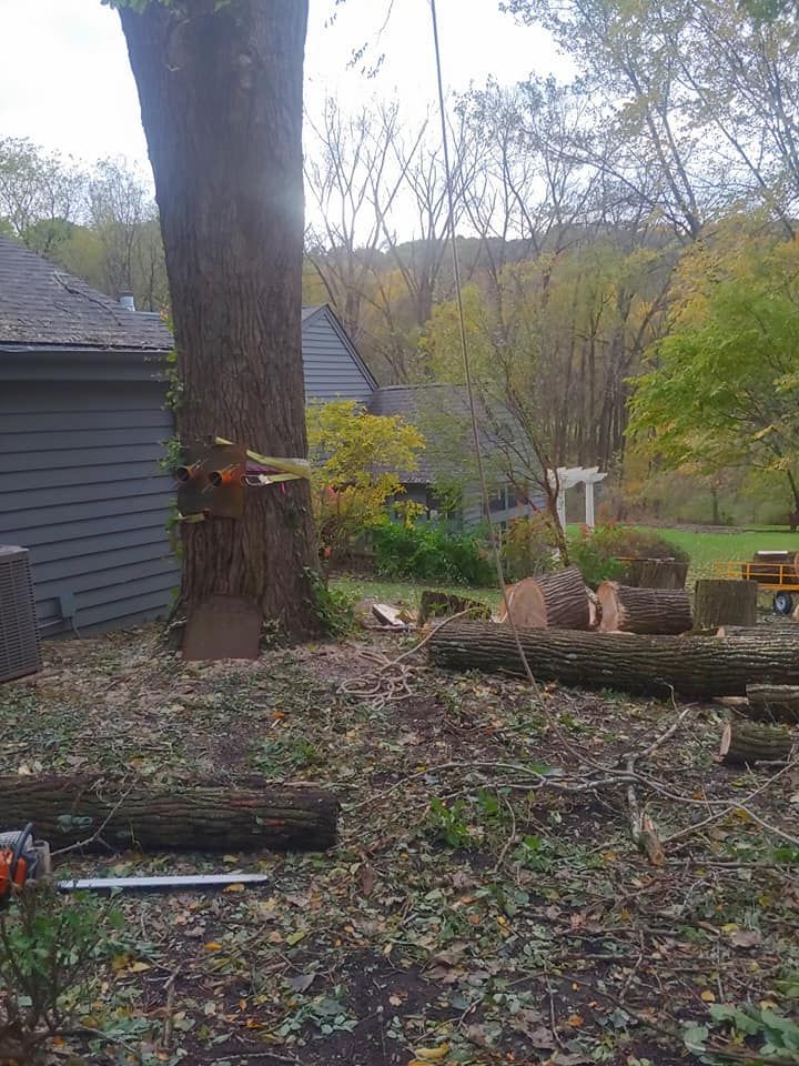 A tree is being cut down in a backyard with a chainsaw.