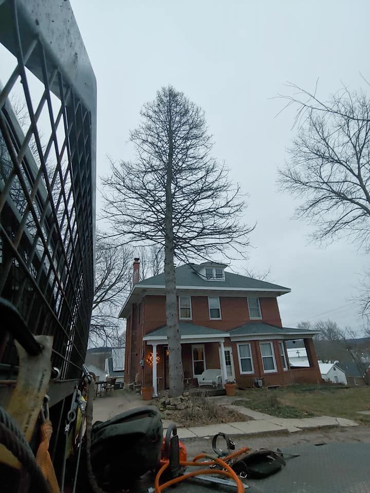 A large tree is sitting in front of a brick house.