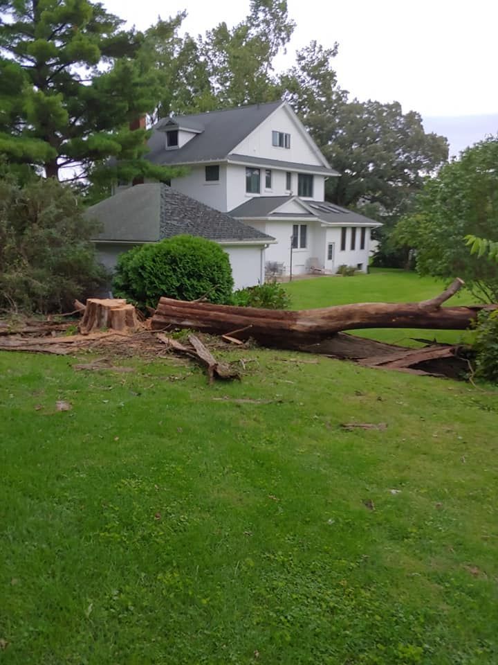 A large white house with a fallen tree in front of it
