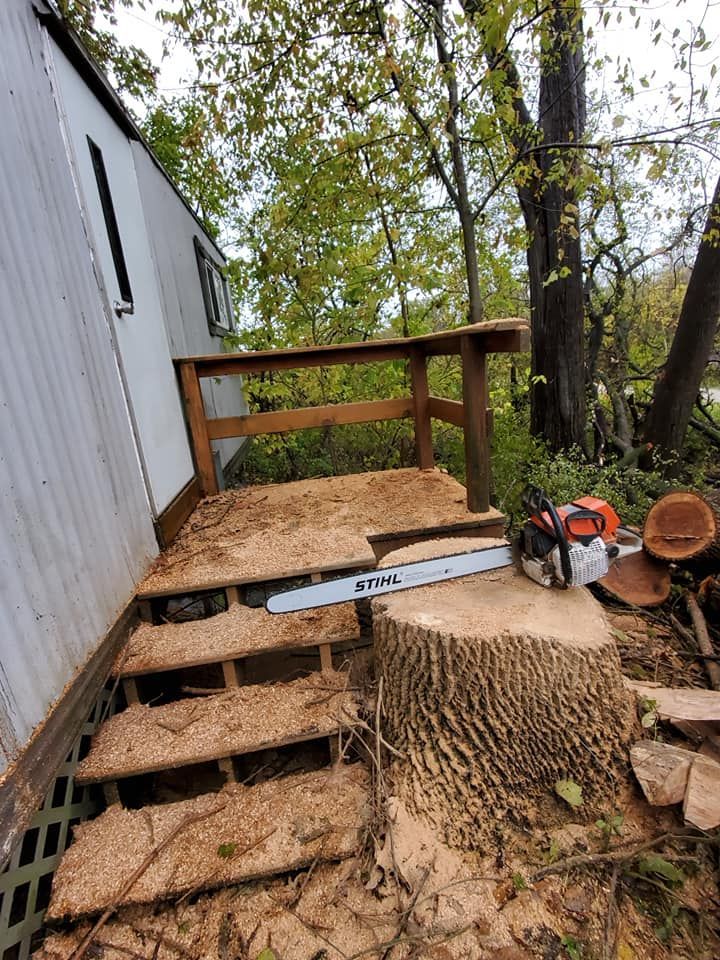 Tree Service | Stockton, IL | M&M Tree's