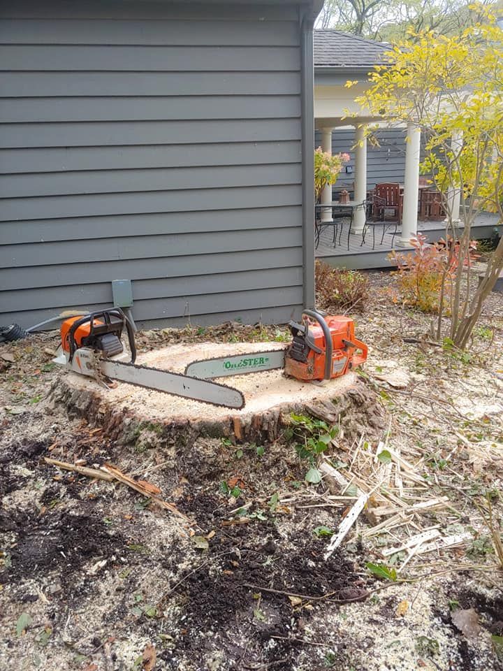 A chainsaw is sitting on top of a tree stump in front of a house.