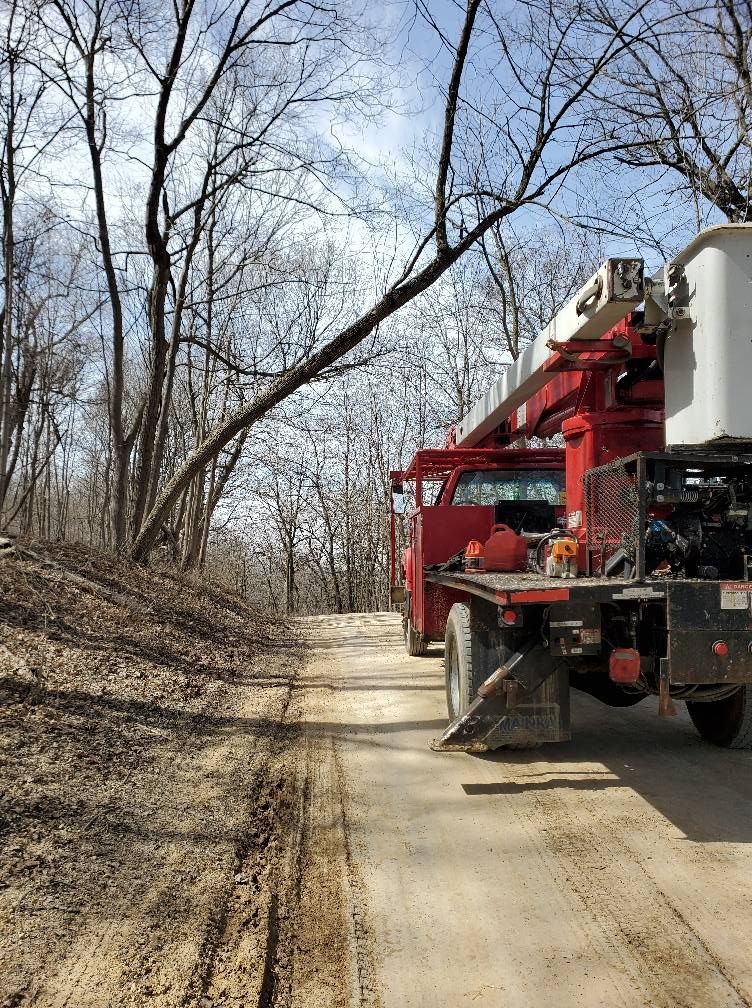 Tree Service | Stockton, IL | M&M Tree's