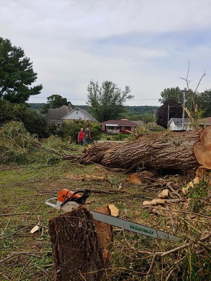 Tree Service | Stockton, IL | M&M Tree's