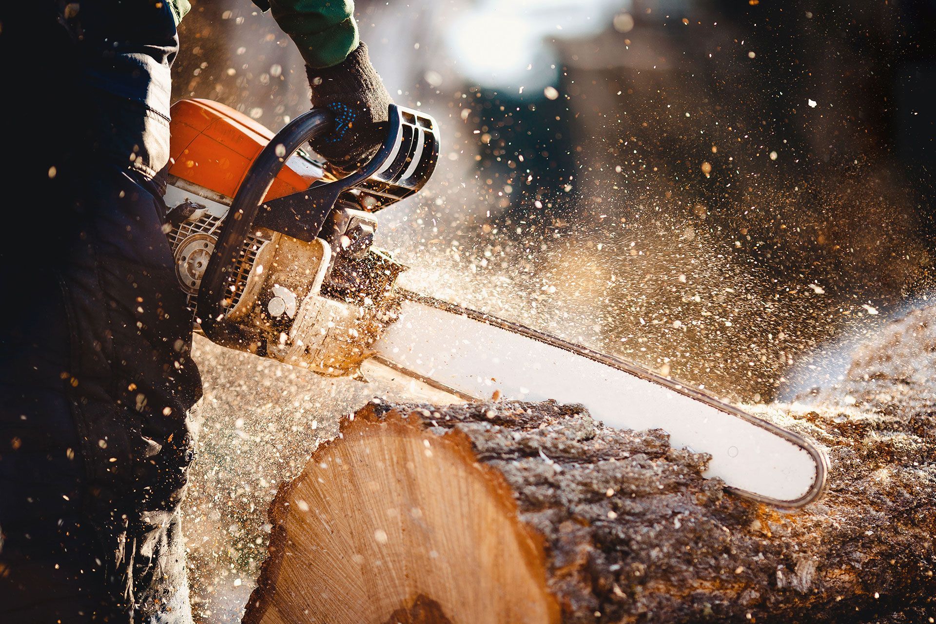 Tree Service | Warren, IL | M&M Tree's Tree Service