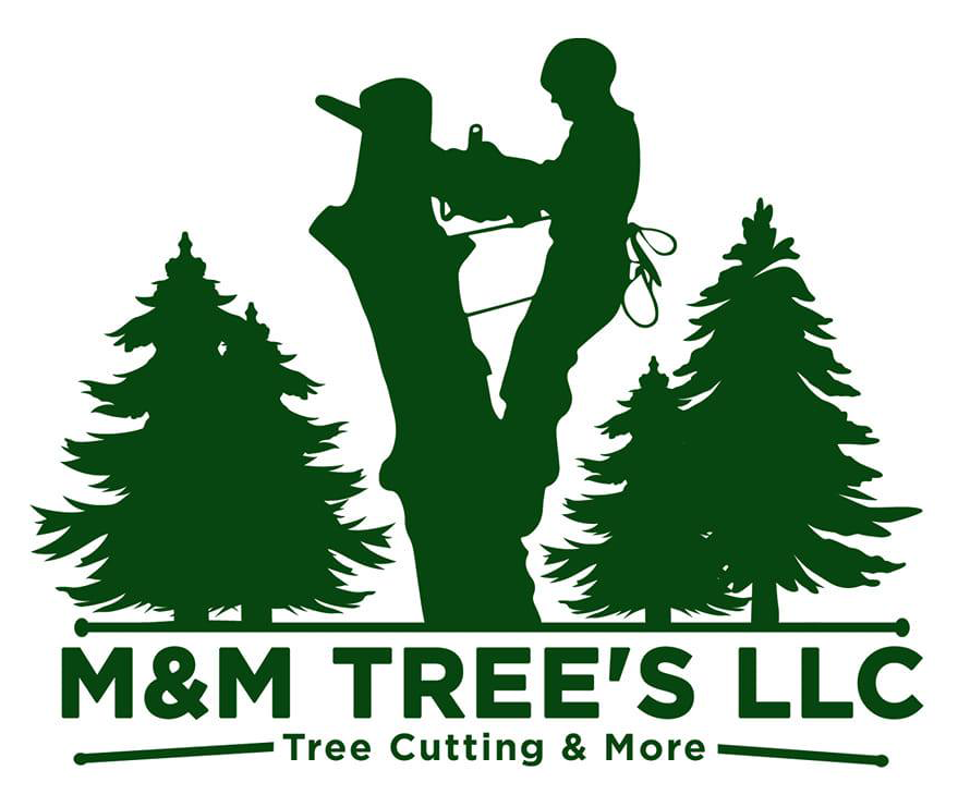 M&M Tree's LLC - logo